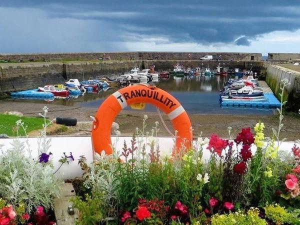 Door To The Shore - Seafront Cottages Sandhaven Exterior foto